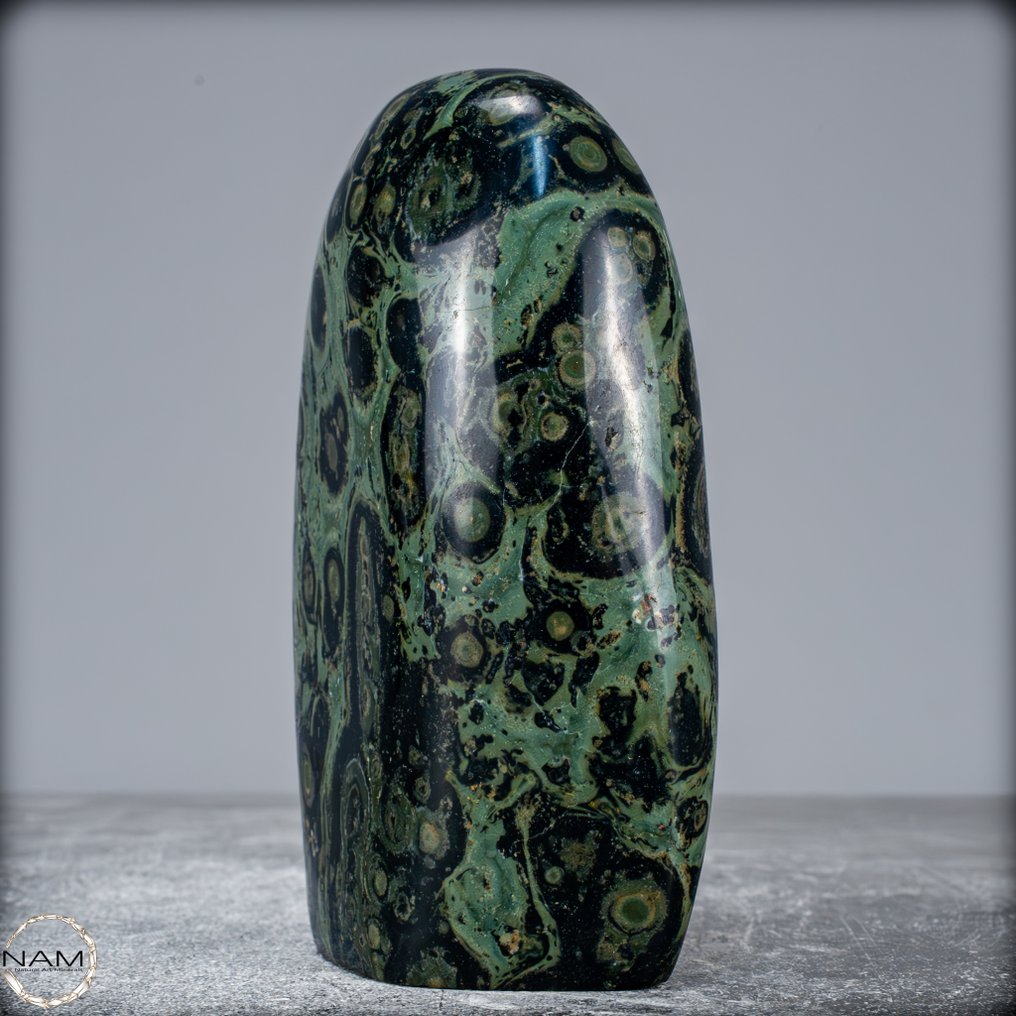 Très décoratif Kambaba Forme libre- 592.92 g #2.1