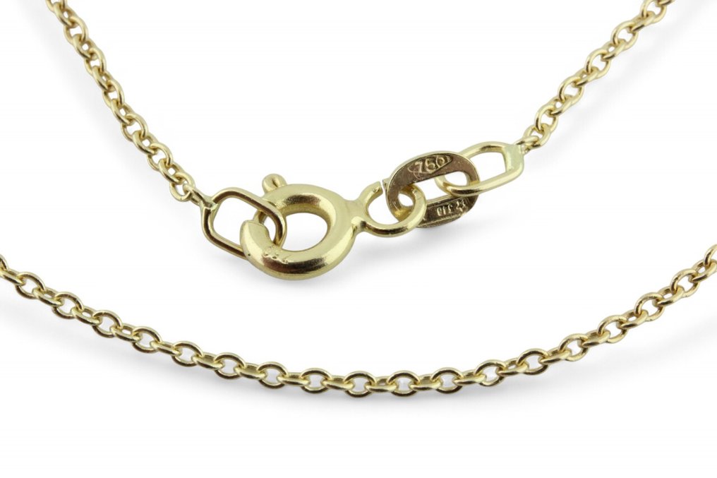 Sans prix de réserve - Chaîne - 18 carats Or jaune #1.0