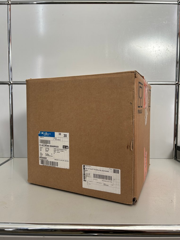 Flos - Philippe Starck - Hängelampe - KTribe Suspension 1 - PMMA #3.2