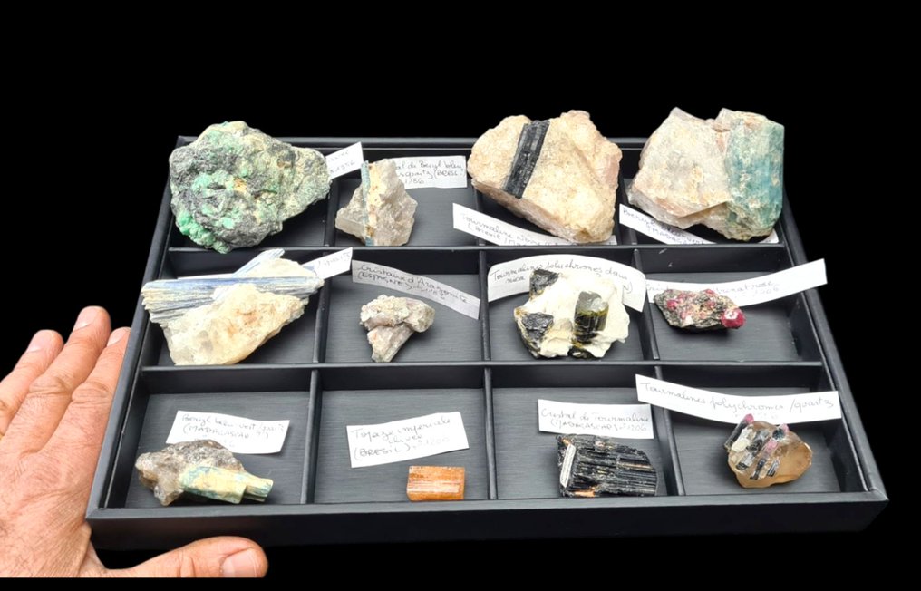 . - Diorama - 1980-1990 #1.0