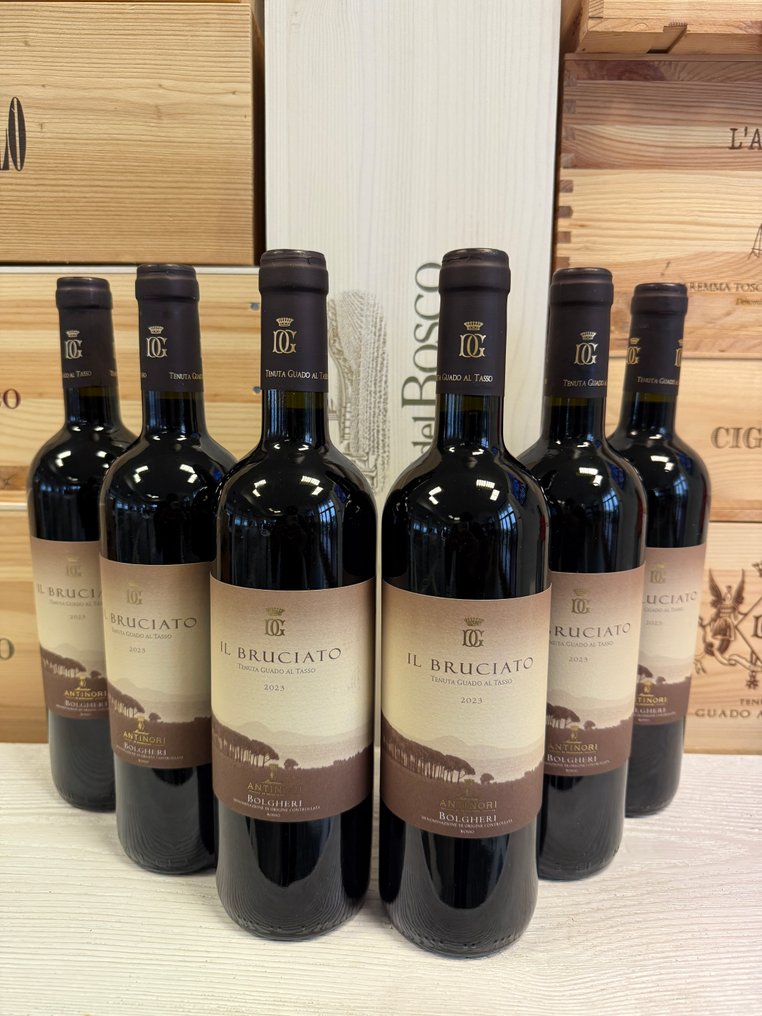 2024 Tenuta Guado Al Tasso, Il Bruciato - Bolgheri DOC - 6 Bottles (0.75L) #1.0