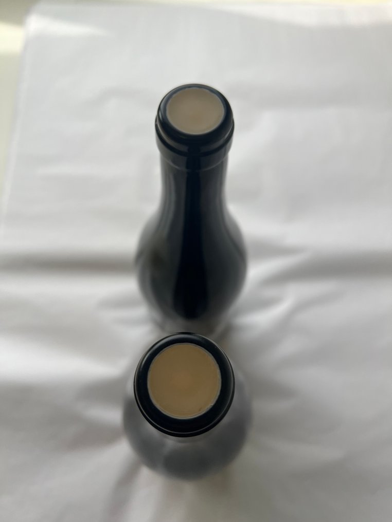 2022 Prieure Roch: Dessus les Gollardes Rouge & Blanc - Borgogna, Savigny lès Beaune - 2 Bottiglie (0,75 L) #1.0