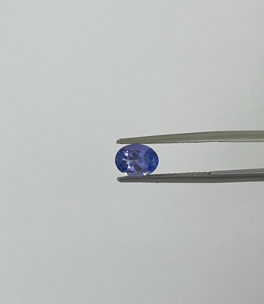 2 pcs  Blau, Violett Tansanit  - 2.72 ct - Instituto Gemólogico Español (IGE) #4.3