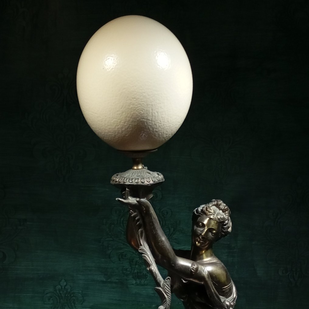 Strucc Tojás - struthio camelus - 69 cm - 27 cm - 22 cm #4.3