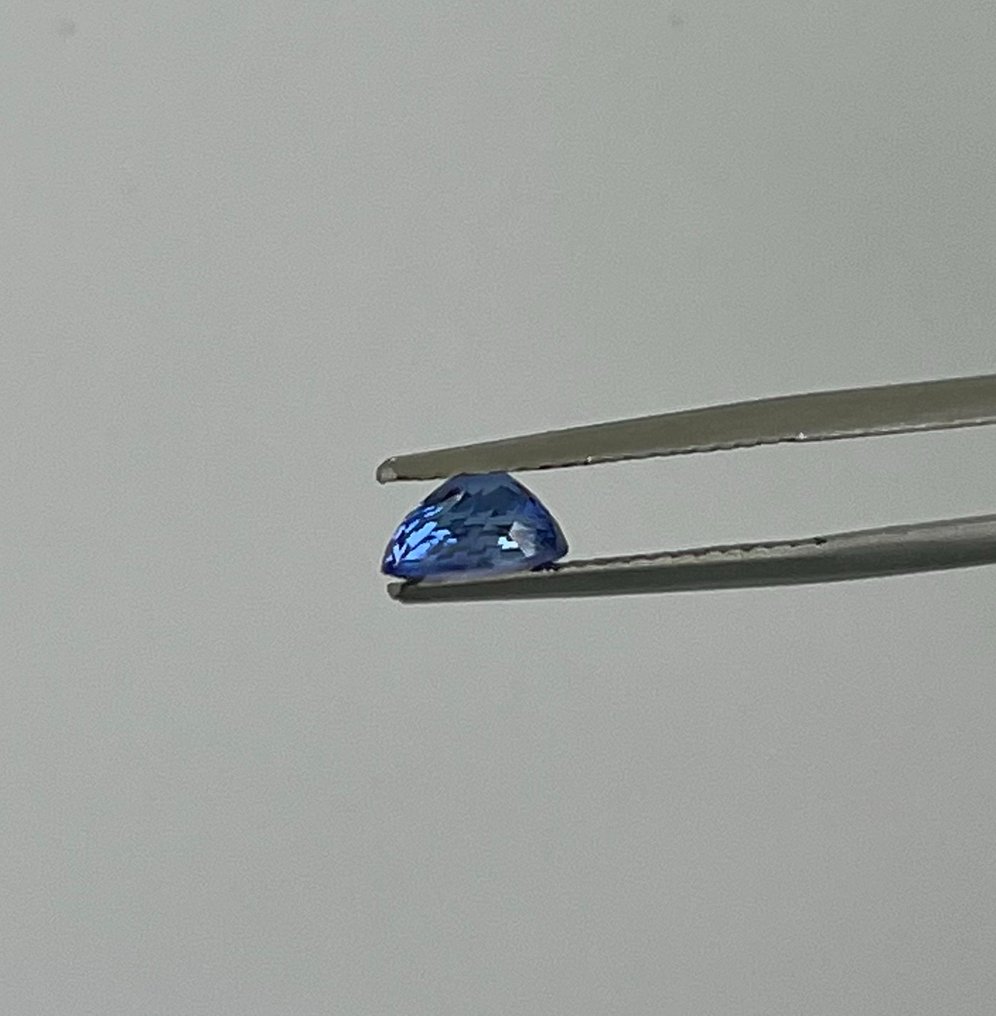 2 pcs  Blau, Violett Tansanit  - 2.72 ct - Instituto Gemólogico Español (IGE) #1.0