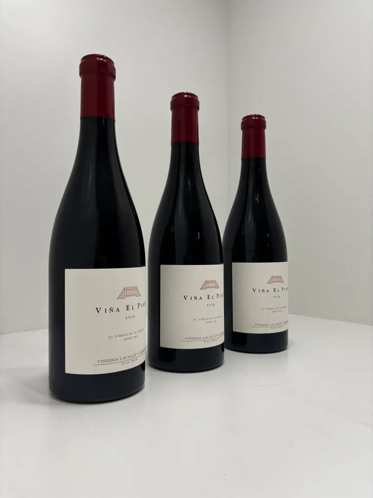 2019 Bodegas Artadi, Viña el Pison - Rioja - 3 Bottles (0.75L) #3.2