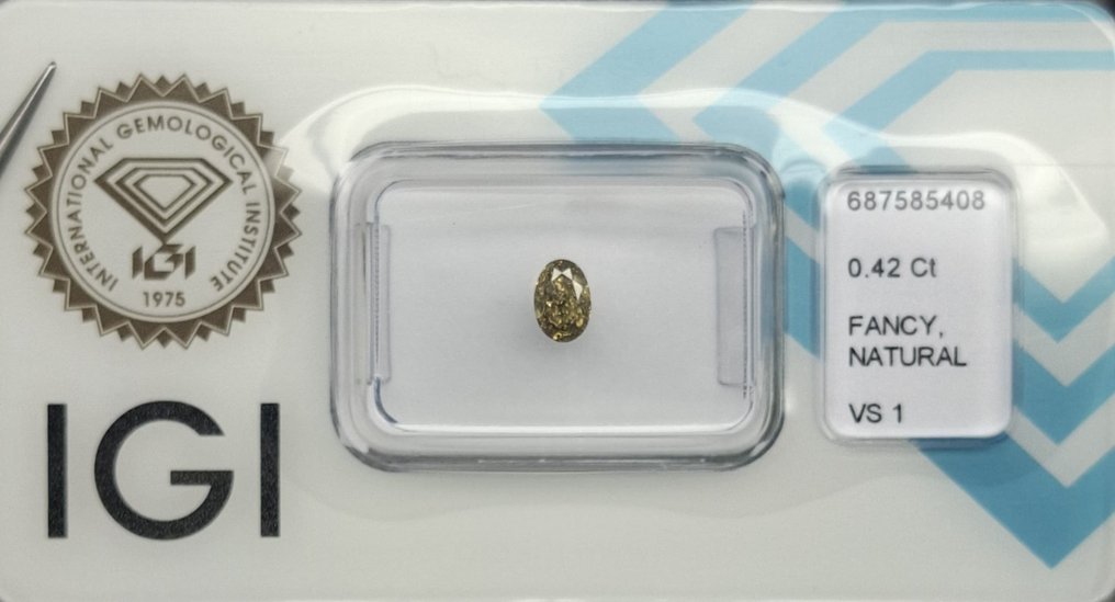 1 pcs Διαμάντι  (Φυσικό)  - 0.42 ct - Οβάλ - VS1 - International Gemological Institute (IGI) - CW27 #1.0