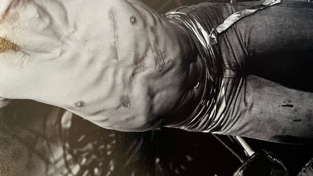 Govert de Roos - Iggy Pop #4.3