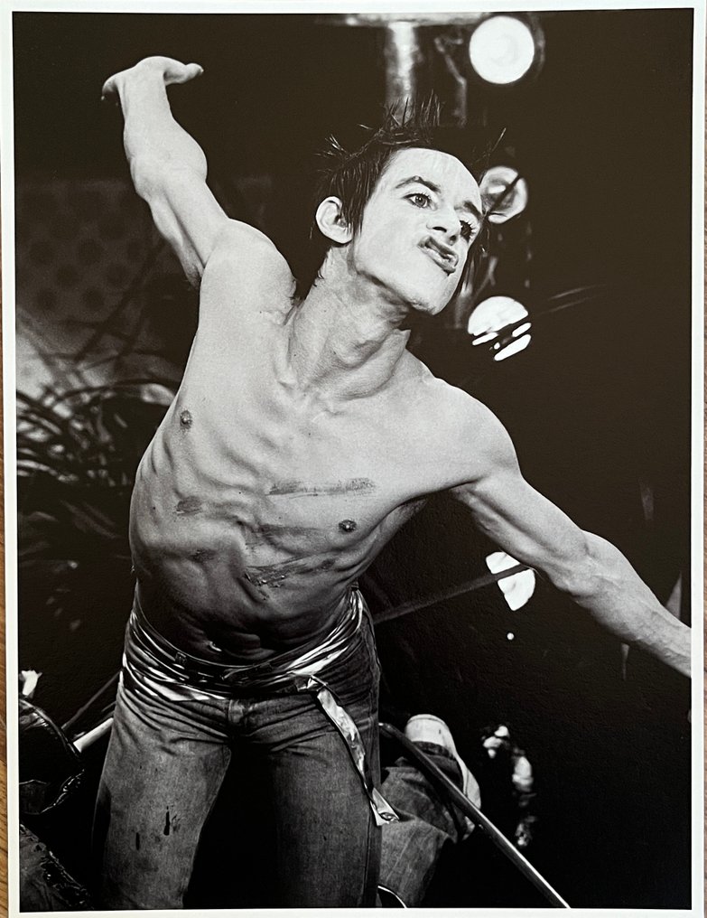 Govert de Roos - Iggy Pop #1.0