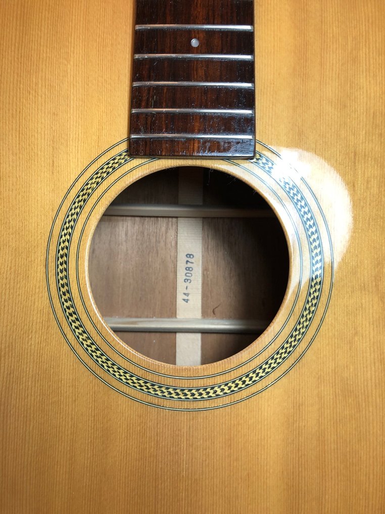 EKO - Manne design - AS - - Akusztikus gitár #4.3