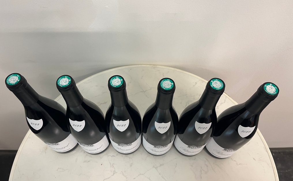 2022 Domaine Vaudoisey-Creusefond - Pommard - 6 Flaskor (0,75L) #2.1