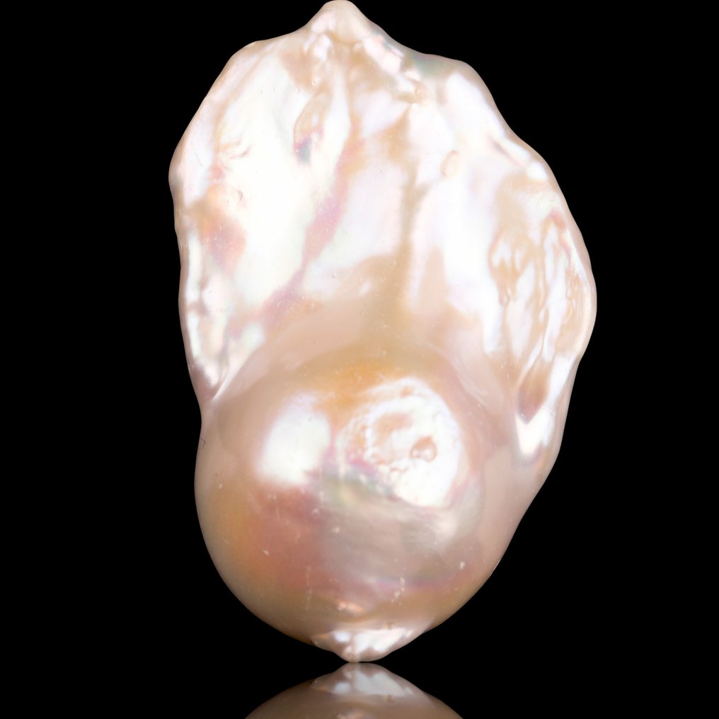 巨型火球珍珠 AAAAA TOP：美丽的巴洛克珍珠对 - Fireball - 高度: 34 mm - 宽度: 22 mm- 21 g - (2) #2.1