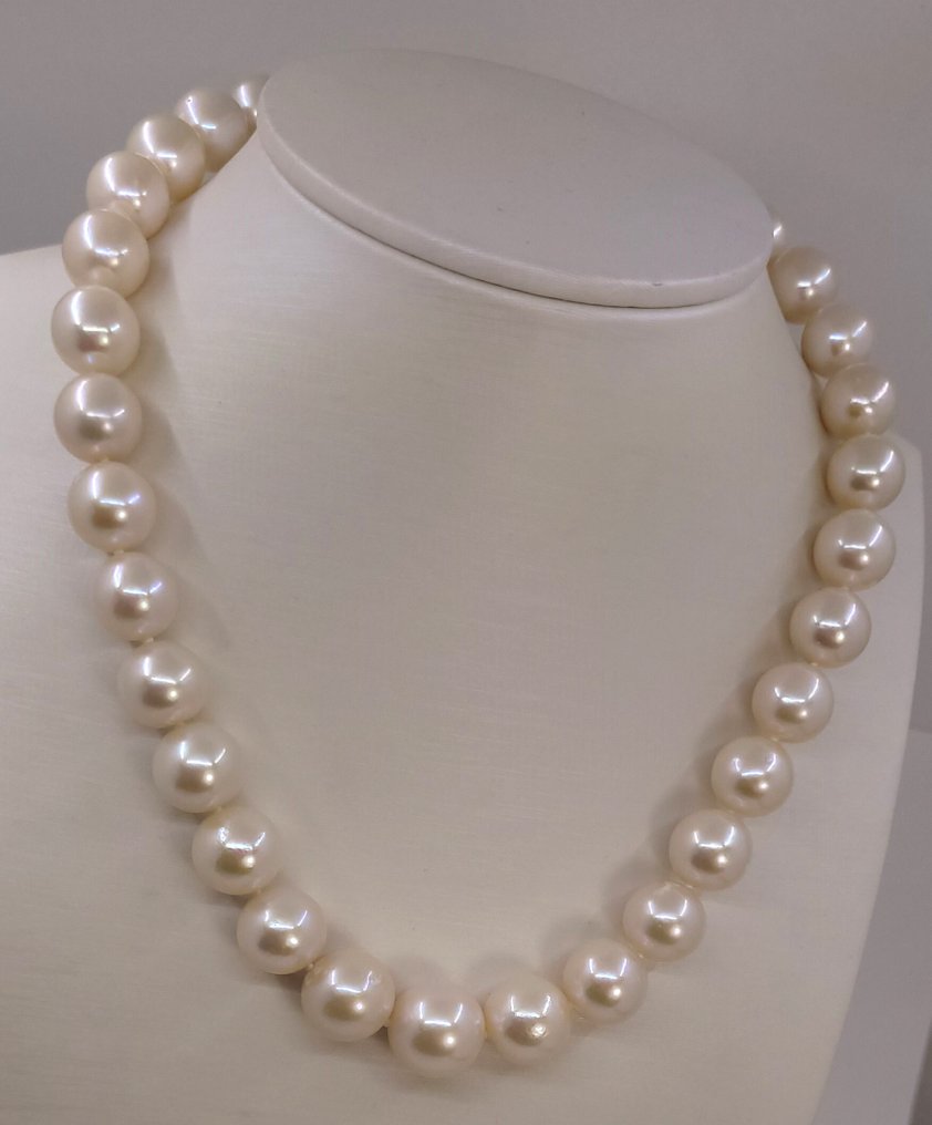 项链 巨大尺寸 - 12x15毫米圆形白色爱迪生珍珠, 银 #1.0