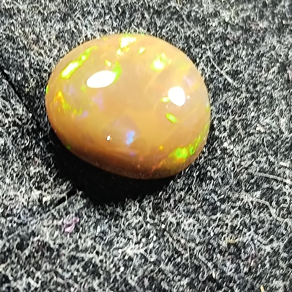 Sjælden sort opal dobbelt side naturlig 4,90 karat Cabochon - Højde: 14 mm - Bredde: 13 mm- 0.98 g - (1) #1.0