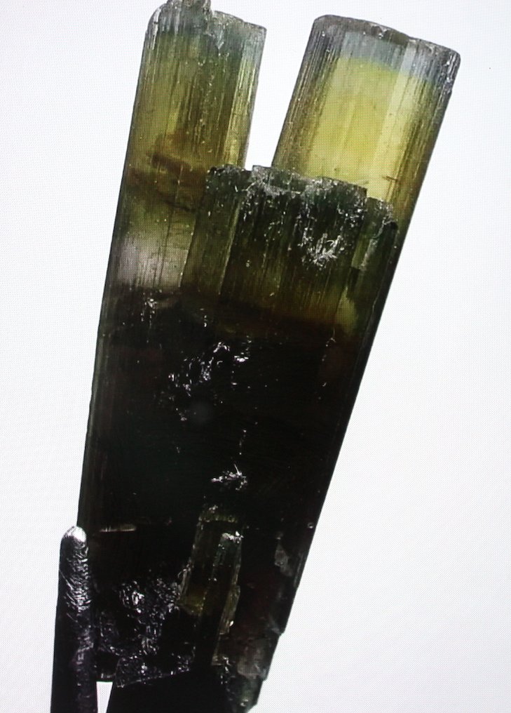 Ct. 16.50 Cristallo terminato di tormalina verde Esemplare - Altezza: 29 mm - Larghezza: 11 mm- 3.3 g #1.0