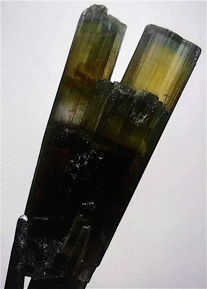 Ct. 16.50 Cristallo terminato di tormalina verde Esemplare - Altezza: 29 mm - Larghezza: 11 mm- 3.3 g #3.2
