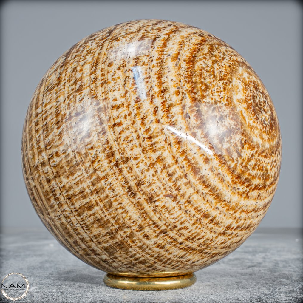 Meget sjælden sort aragonitskive. Fra Pakistan- 1840.84 g #4.3