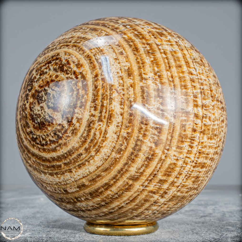 Meget sjælden sort aragonitskive. Fra Pakistan- 1840.84 g #1.0