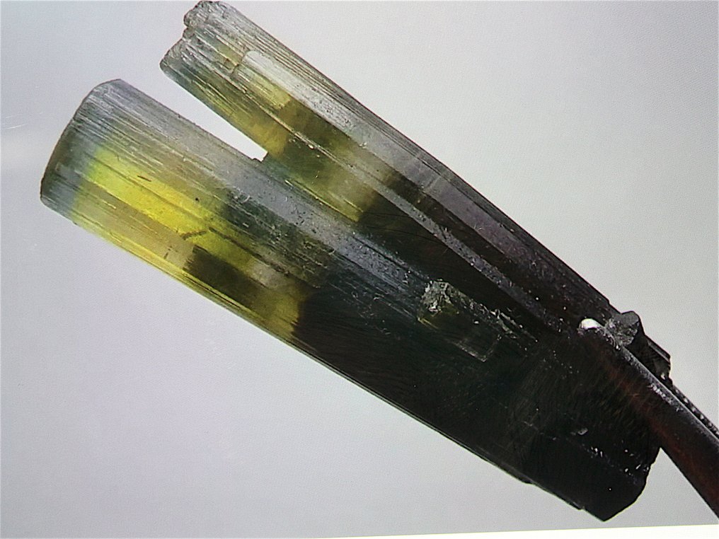 Ct. 16.50 Cristallo terminato di tormalina verde Esemplare - Altezza: 29 mm - Larghezza: 11 mm- 3.3 g #1.0