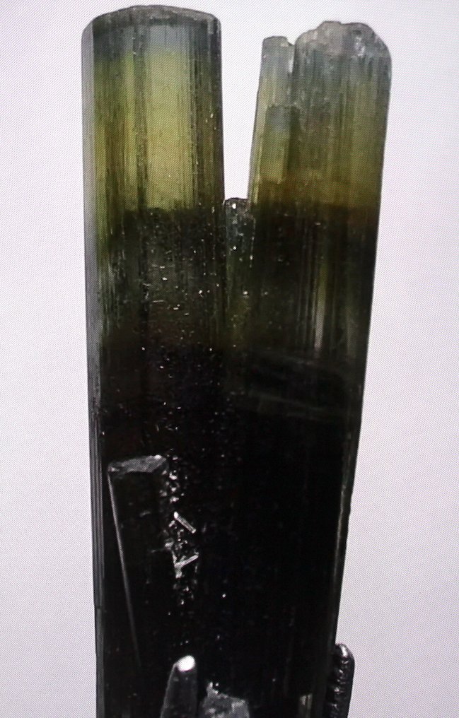 Ct. 16.50 Cristallo terminato di tormalina verde Esemplare - Altezza: 29 mm - Larghezza: 11 mm- 3.3 g #2.1