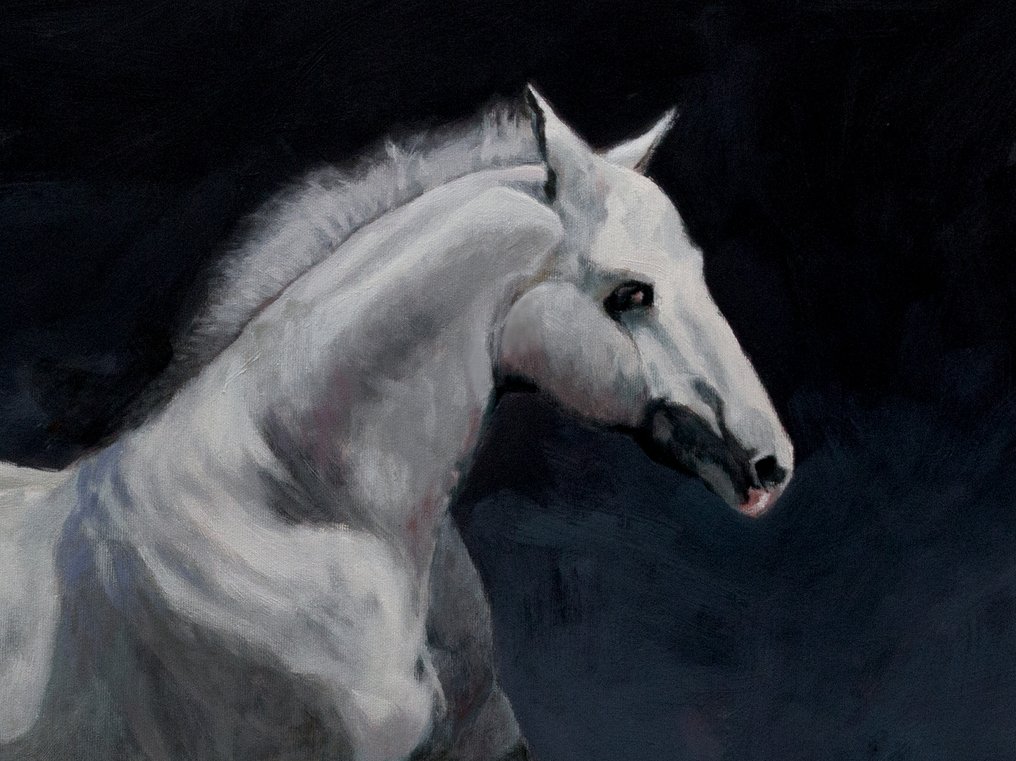 JOSE LUIS CAMPOS - Equus Ferus Caballus #2.1