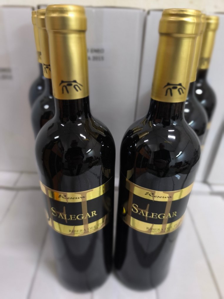 2015 Bodegas Valle de Monzón, Salegar - Ribera del Duero Reserva - 6 Bottles (0.75L) #3.2