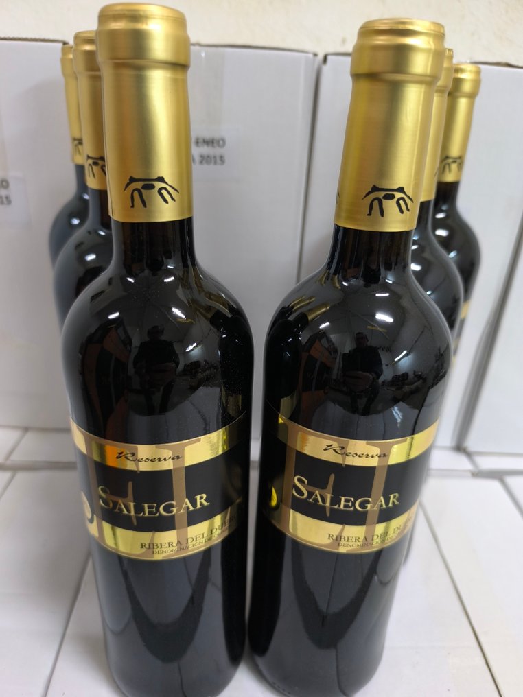 2015 Bodegas Valle de Monzón, Salegar - Ribera del Duero Reserva - 6 Bottles (0.75L) #2.1