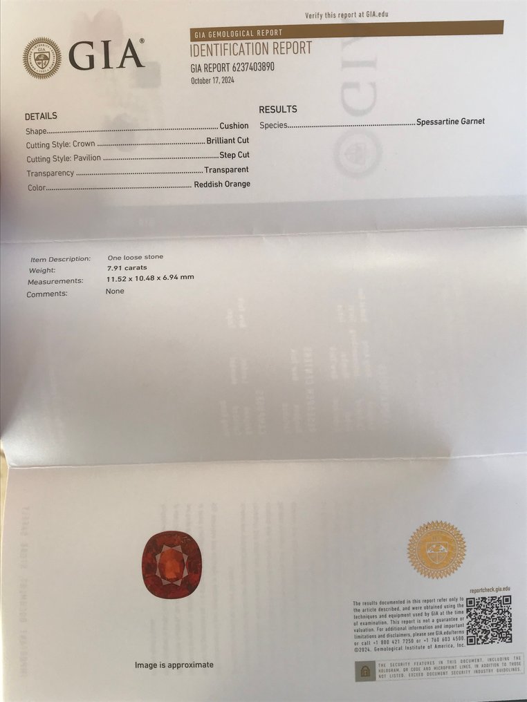 1 pcs  Red, Orange Garnet  - 7.91 ct - Gemological Institute of America (GIA) #4.3