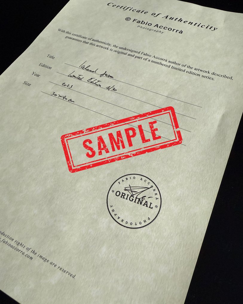 Fabio Accorrà - Long wave - XXL #3.2