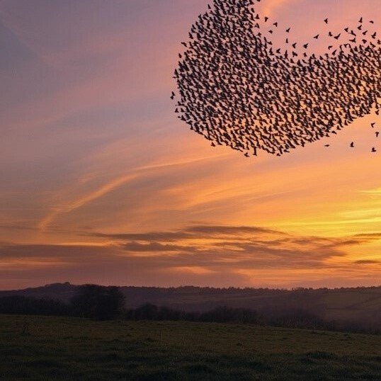 Louis Dourand - Sky Composition No. 1 #3.2