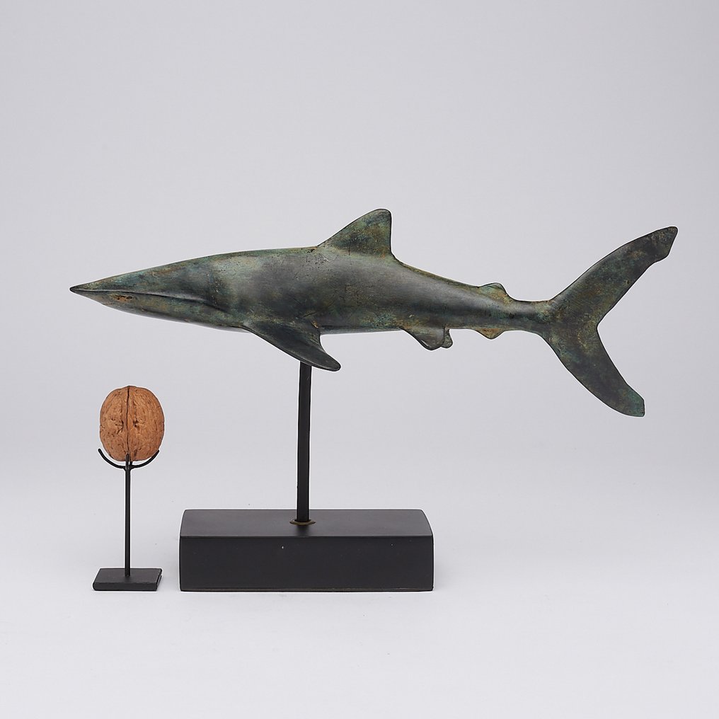 雕塑, NO RESERVE PRICE - Bronze Patinated Great White Shark - Carcharodon Carcharias - 20 cm - 黄铜色 #3.2