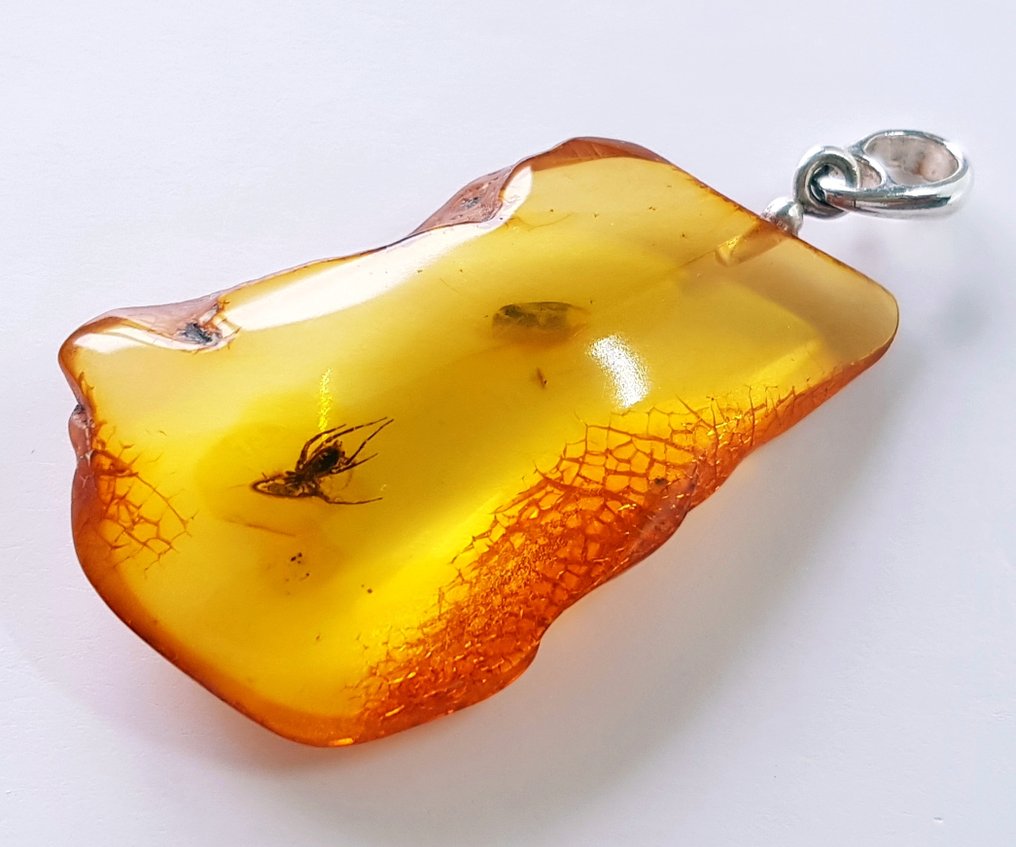 非常罕见的天然波罗的海琥珀吊坠，内含蜘蛛化石昆虫包裹——美丽的博物馆级别 - 琥珀 #2.1