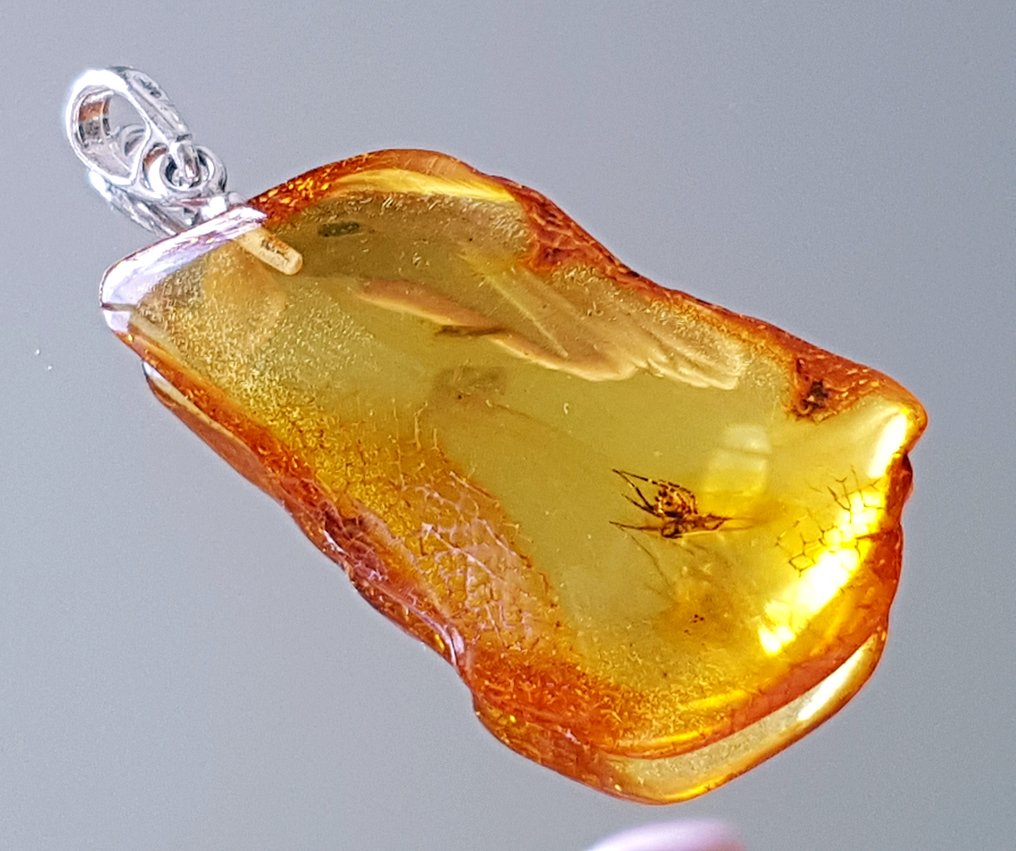 非常罕见的天然波罗的海琥珀吊坠，内含蜘蛛化石昆虫包裹——美丽的博物馆级别 - 琥珀 #4.3