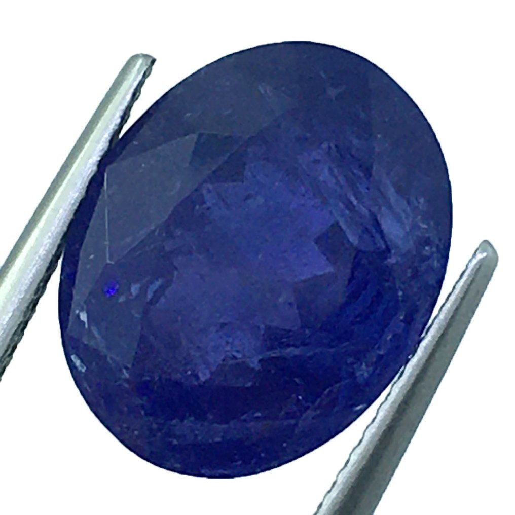 没有保留价 - 1 pcs  蓝色 坦桑石  - 9.90 ct - 安特卫普宝石检测实验室（ALGT） - 浓烈的蓝色 #3.2