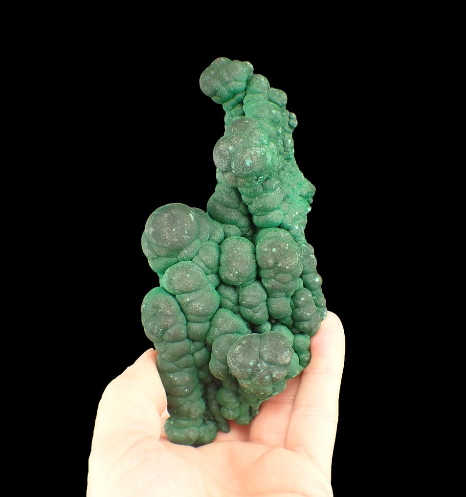 Großer Malachit botryoidal Kristallcluster - Höhe: 154 mm - Breite: 67 mm- 402 g #1.0