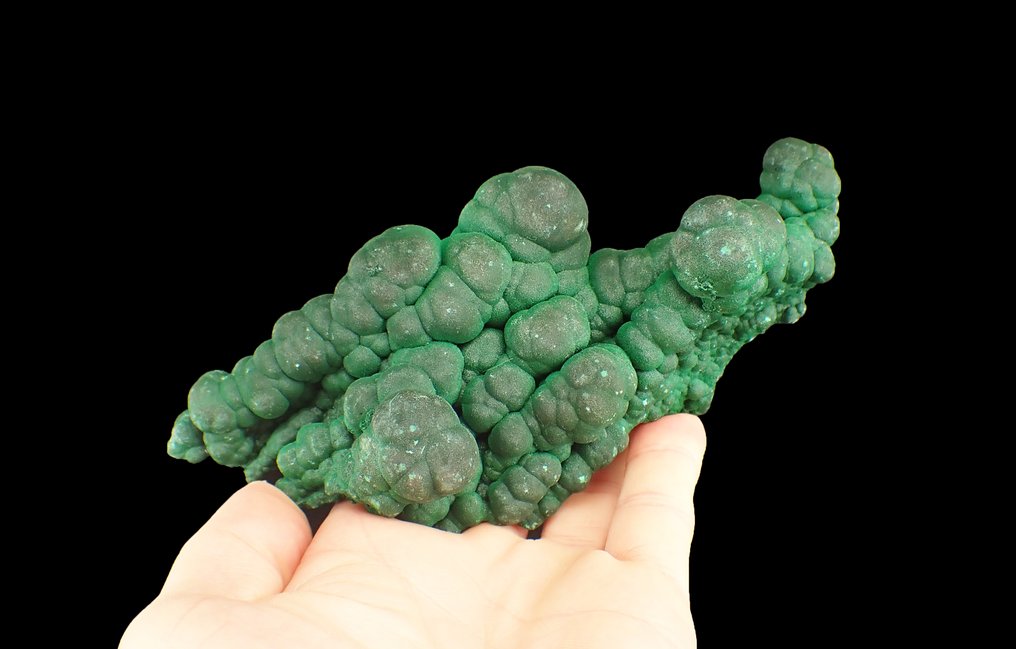 Großer Malachit botryoidal Kristallcluster - Höhe: 154 mm - Breite: 67 mm- 402 g #2.1