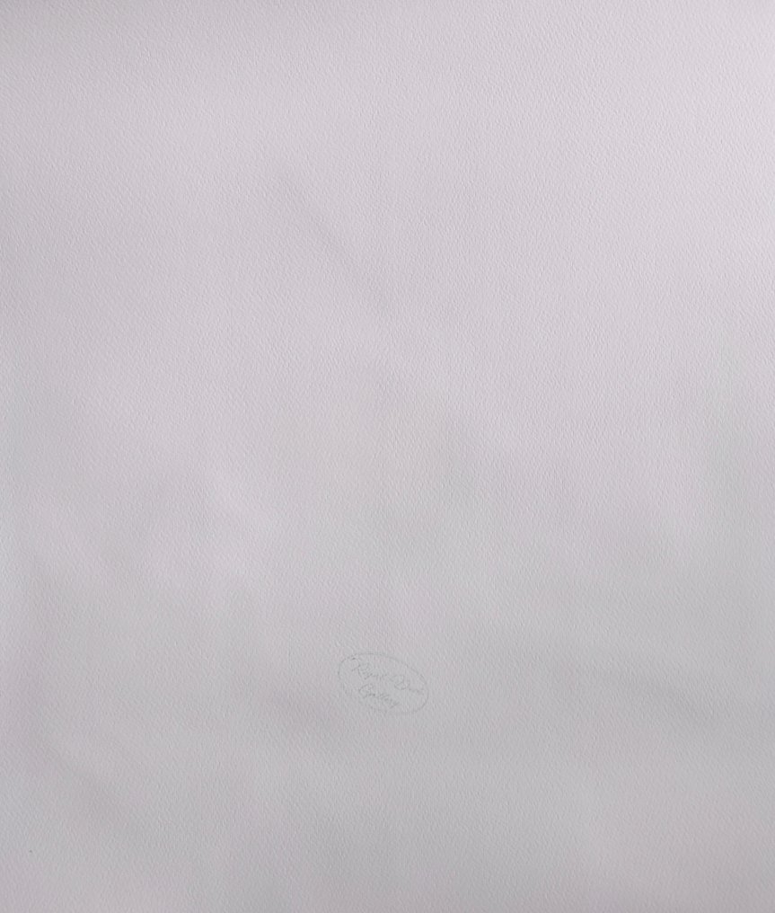 Edward Hopper (1882-1967) (after) - "Compartment C, Car 293, 1938" #4.3