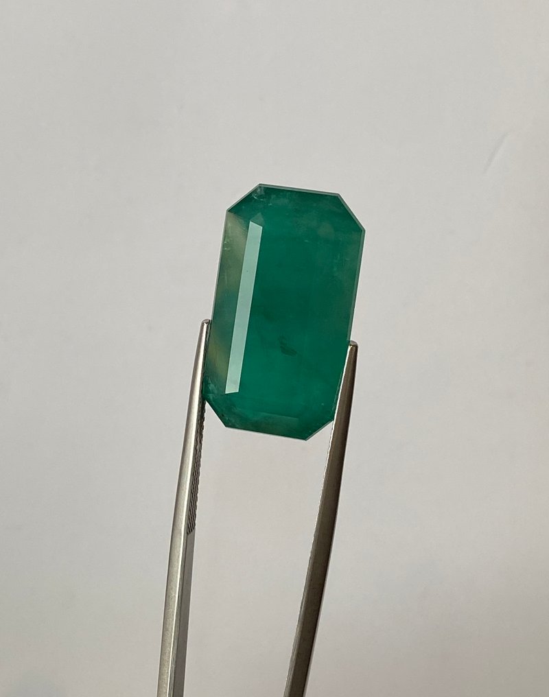 Zonder minimumprijs - 1 pcs  Groen Smaragd  - 30.20 ct - Lotus Gemology - INTENSE GROENE SMARAGD #3.2