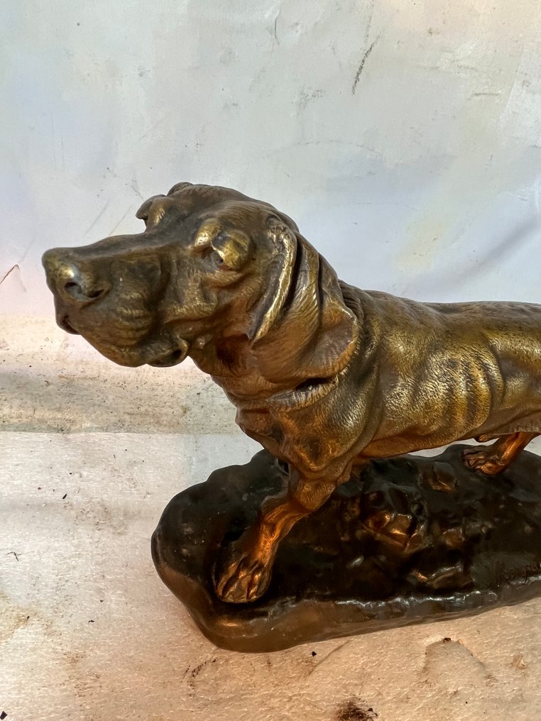 Jules Moigniez (1838-1894) - Sculpture, Chien de Chasse - 23 cm - Spelter #1.0