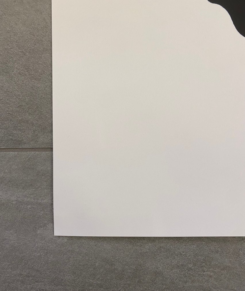 Milton Glaser - BOB DYLAN - Δεκαετία του 1980 #3.2