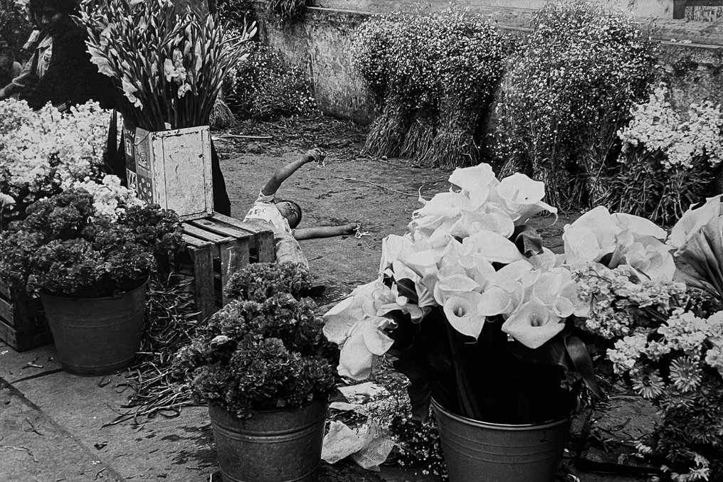 Edouard BOUBAT (1923-1999) - Les Arômes, Mexique, février 1978 #1.0