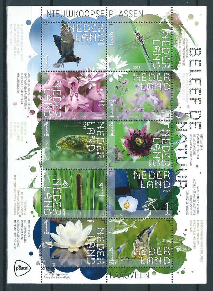 荷蘭 2022 - 完整的年度邮票，带有加密邮票，封装包装！ - NVPH: 3991/4071 #3.2