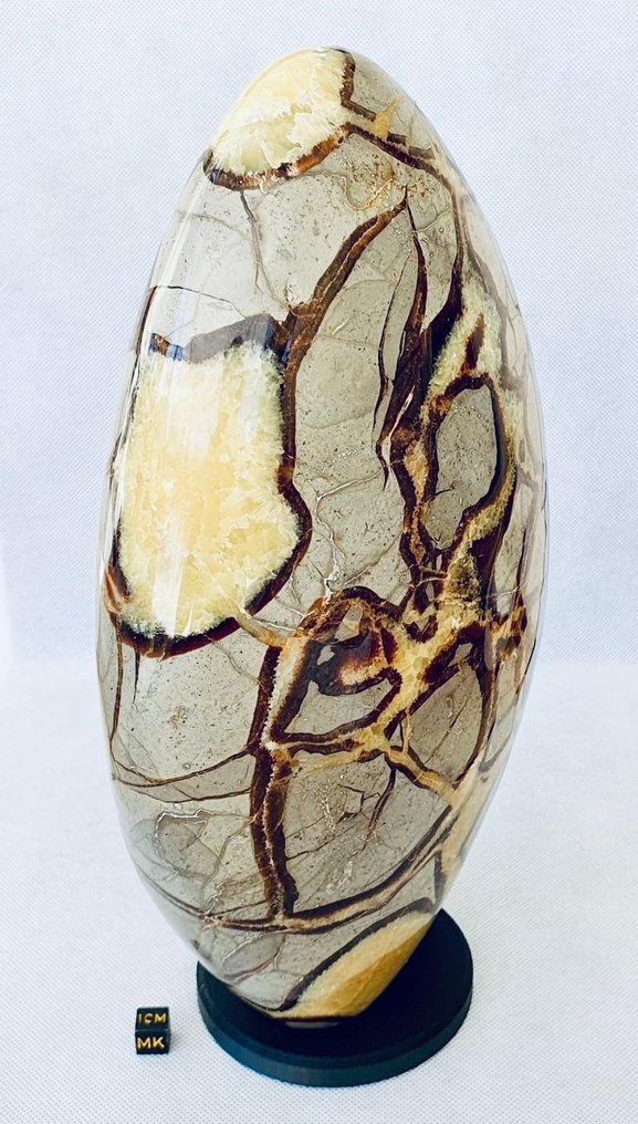 Septaria Polished - Height: 30 cm - Width: 18 cm- 6500 g - (1) #3.2