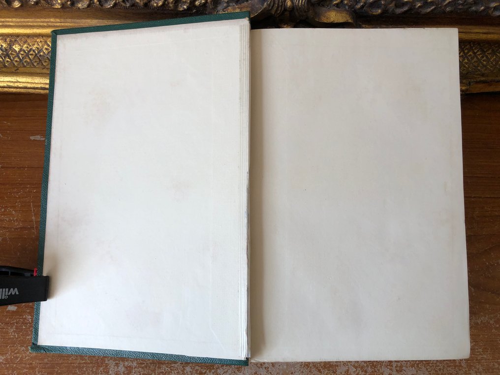 J. Sowerby - English Botany 160 colour plates volume 2. - 1864 #2.1