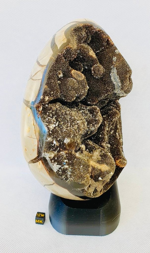 Septaria 磨光 - 高度: 21 cm - 宽度: 14 cm- 3955 g - (1) #1.0