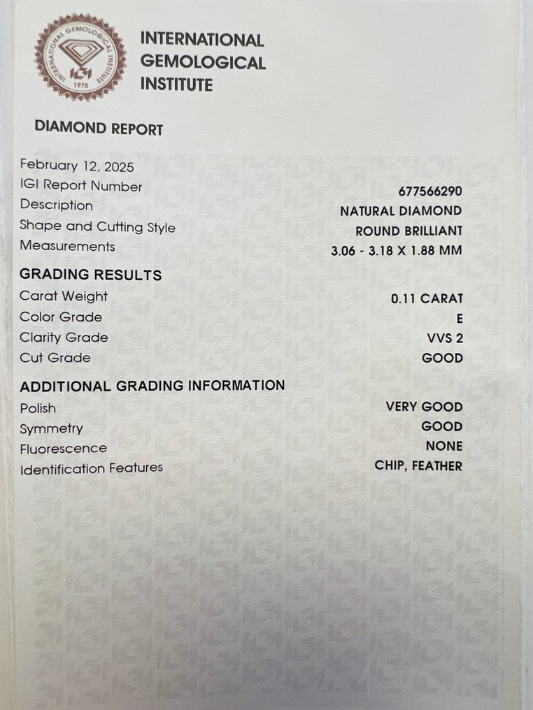 沒有保留價 - 2 pcs 鑽石  (天然)  - 0.22 ct - 圓形 - E(近乎完全無色) - VVS2 - 國際寶石學院（International Gemological Institute (IGI)） - 匹配对 #3.2