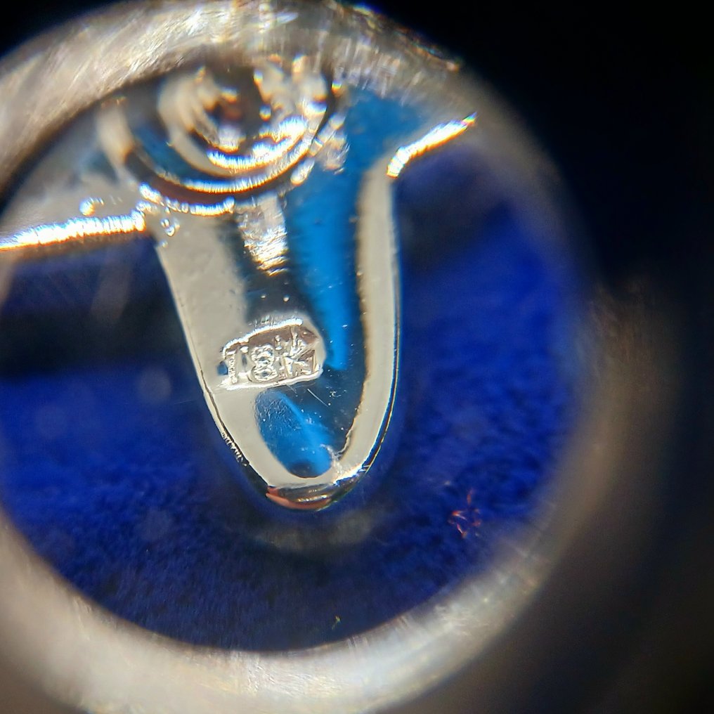 Laminowane złoto biały (18k). - Broszka - Aereo. #3.2