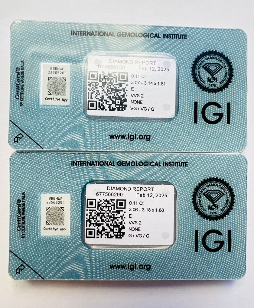 沒有保留價 - 2 pcs 鑽石  (天然)  - 0.22 ct - 圓形 - E(近乎完全無色) - VVS2 - 國際寶石學院（International Gemological Institute (IGI)） - 匹配对 #1.0
