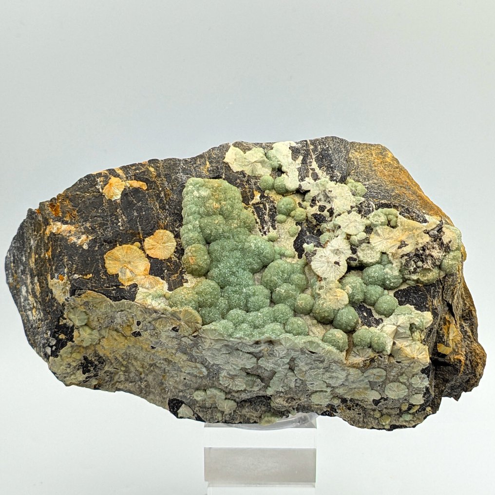 Grossa WAVELLITE sferyczna 20cm, rzadki, USA. Kryształy na matrixie - Wysokość: 197 mm - Szerokość: 137 mm- 1.77 kg #4.3