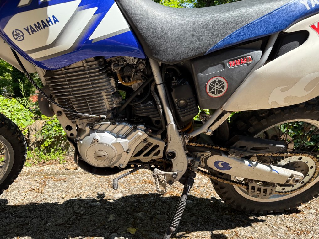 Yamaha - TTR - 600 cc - 2000 #3.1